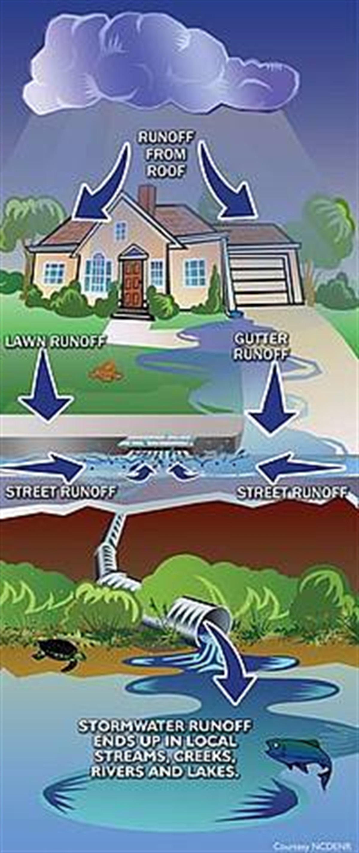 water runoff cartoon