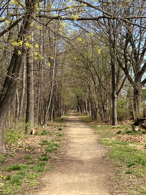 Cheney Rail Trail Photo