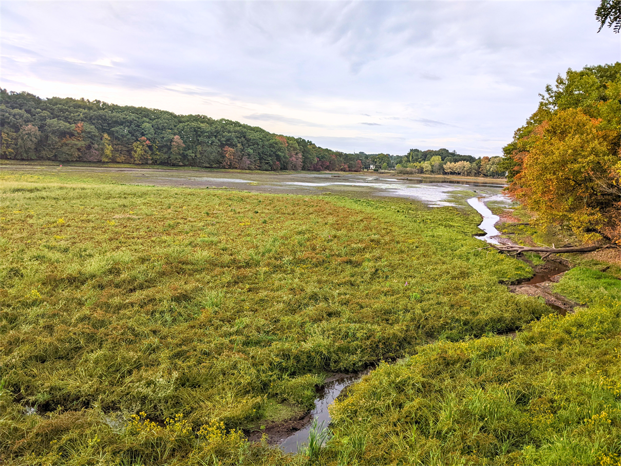 Northwest Park, Union Pond